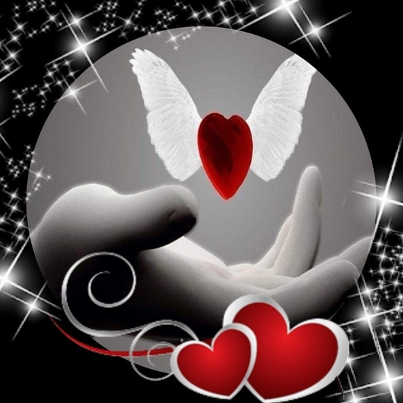 Meet your Posher, Suzette - Picture 1 of 1